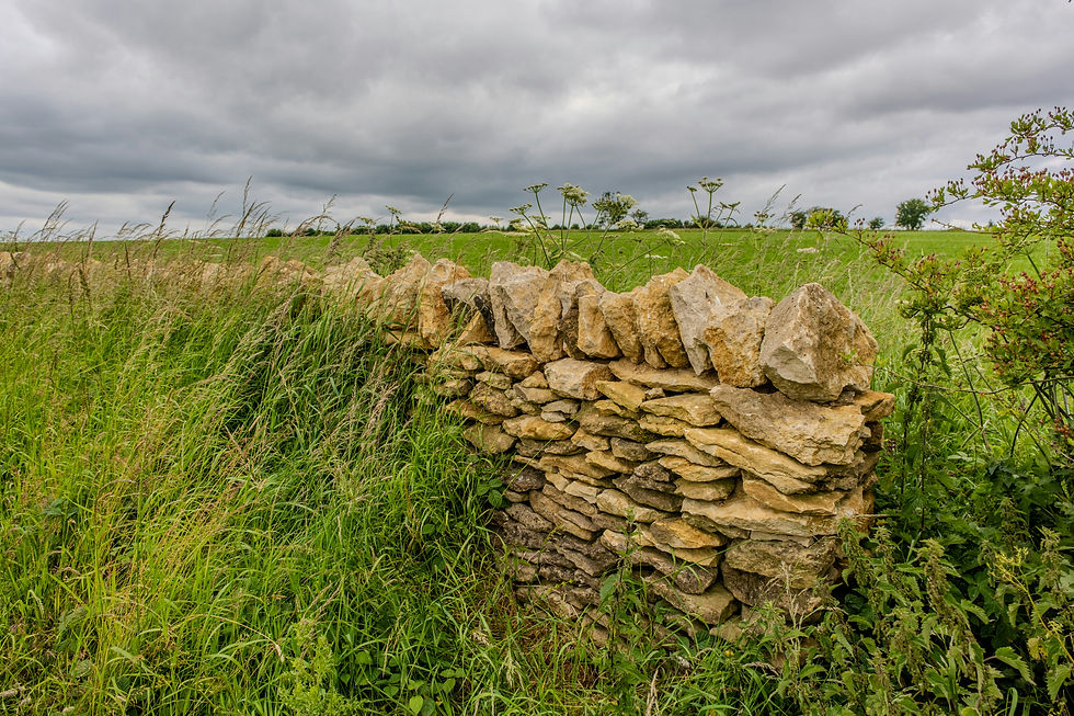 A stone retaining wall bordered by natural wild grass, showcasing durable retaining wall materials in a Southern California landscape.