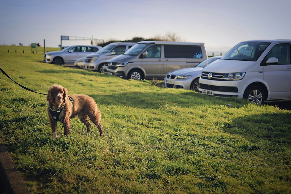 What Car Fits Me - Parking Near the Beach: What It Does to Your Car
