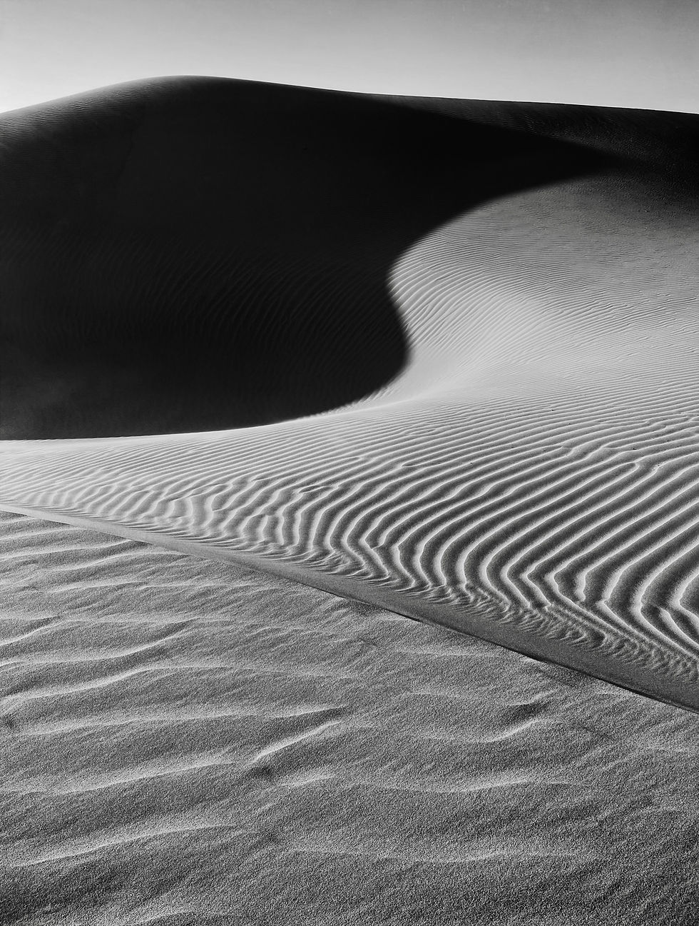 Image by Mary Serphos