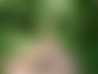 Stone steps forming a path through a forest, showing progress supported by structure.