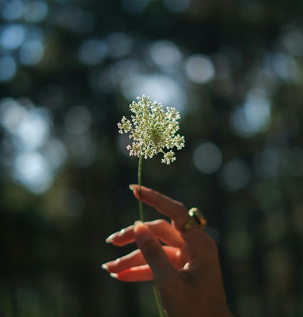 Image by Hatice Baran