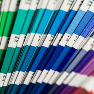 The Art of Branding: Choosing the Right Colours for Your Brand