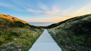 Prepare a Straight Path