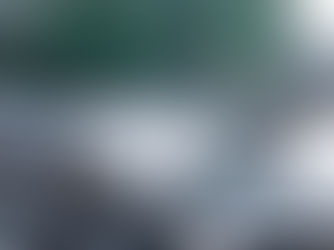 Die 5 Phasen der Trauer