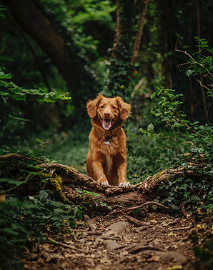 Image by Jamie Street