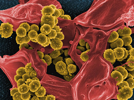MRSA