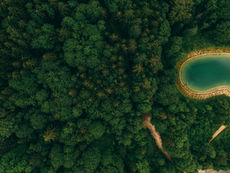 Boscompensatieproject in Brazilië koppelt reizen aan meetbare klimaatactie