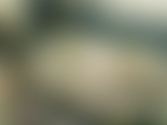 Discovering Zodiac Birthstones: A Guide to Celestial Gems