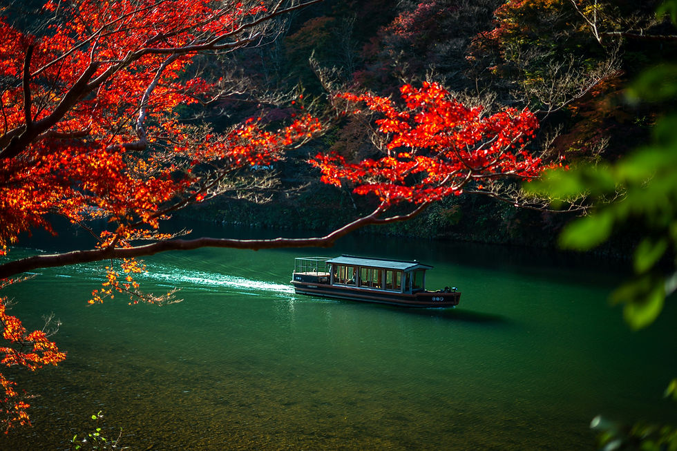 Flow of Nature - River Boat Experience