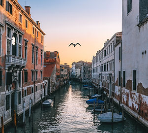 Image by Federico Beccari