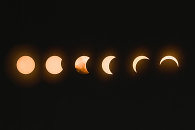 Image by Mark Tegethoff