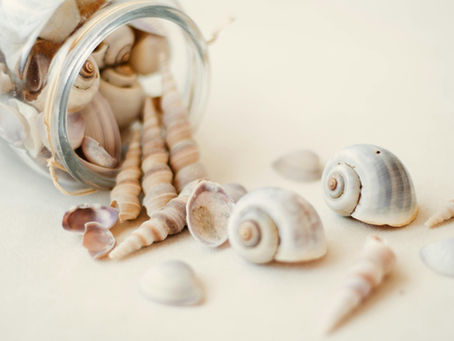 Somatische Arbeit mit inneren Anteilen