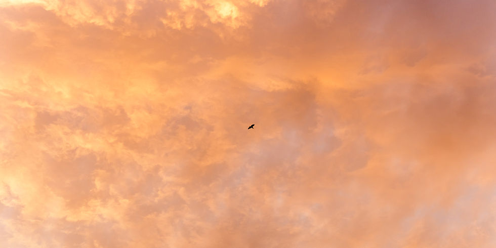 Image by Xianyu hao