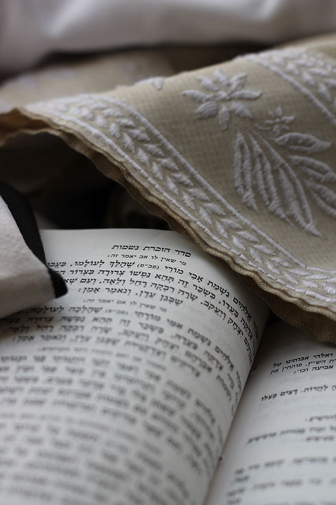 Image by menachem weinreb