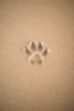 Image by Sirisvisual