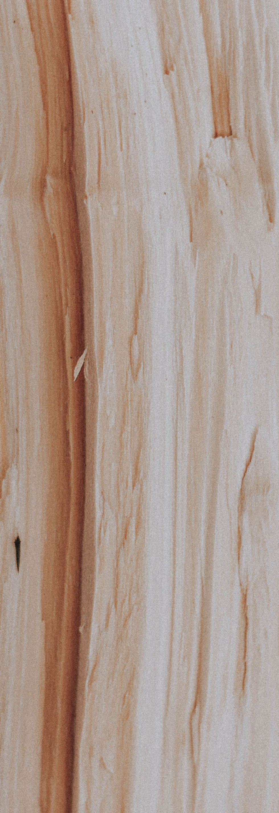 Image by Mathias Reding