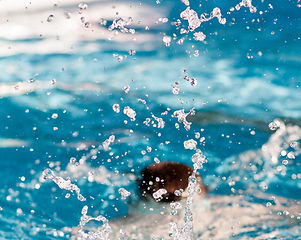 Image by Lavi Perchik