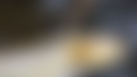 Latest Estimates From Spring Trout Surveys For The Upper Jefferson River Basin