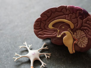 Do you hear your brain?