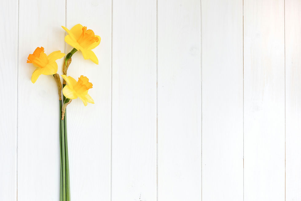 Image de Natalie Kinnear
