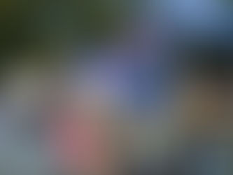 australians holding their national flag