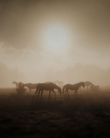 Image by 🇸🇮 Janko Ferlič