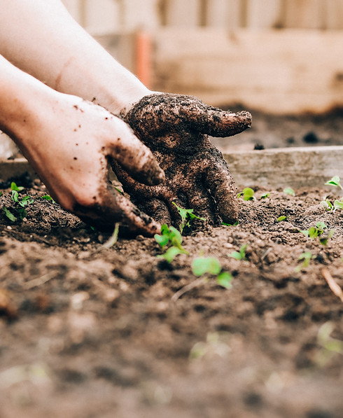 Image by Sandie Clarke