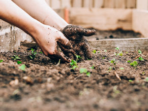 You Need to Dig Deep Before You Can Grow