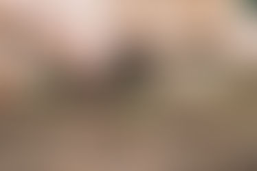 Resist. Wendell Berry Style.