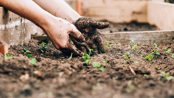 Gardening How To’s