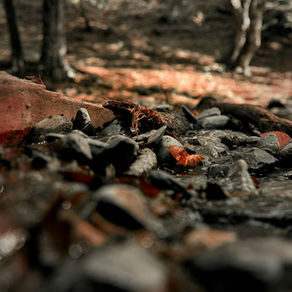 Et si notre tristesse enfouie à l'intérieur bloquait notre chemin de guérison ?