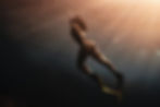 Free Diving