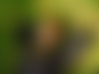 The Importance of Sleep For Music Creators