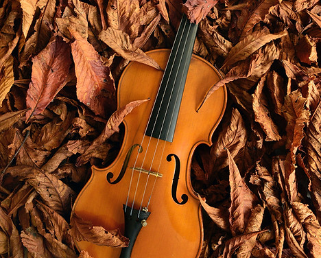 Image by Jean-Louis Aubert