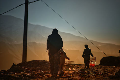 Image by Farid Ershad