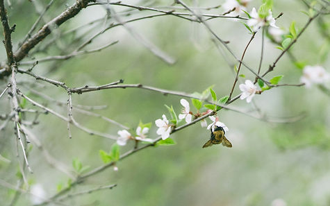 Image by Chong Wei