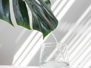 water dripping off of a leaf into a glass 