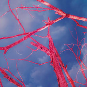 Image by Eugene Golovesov