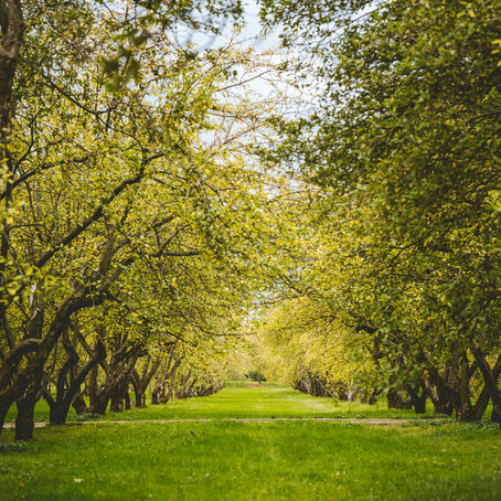  [ワークショップ］社会課題から研究をデザインする＠オンライン　3/26（日） 20:00～
