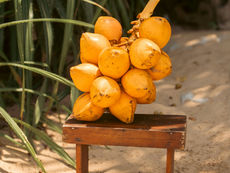 King Coconut: The One Drink Sri Lanka Runs On