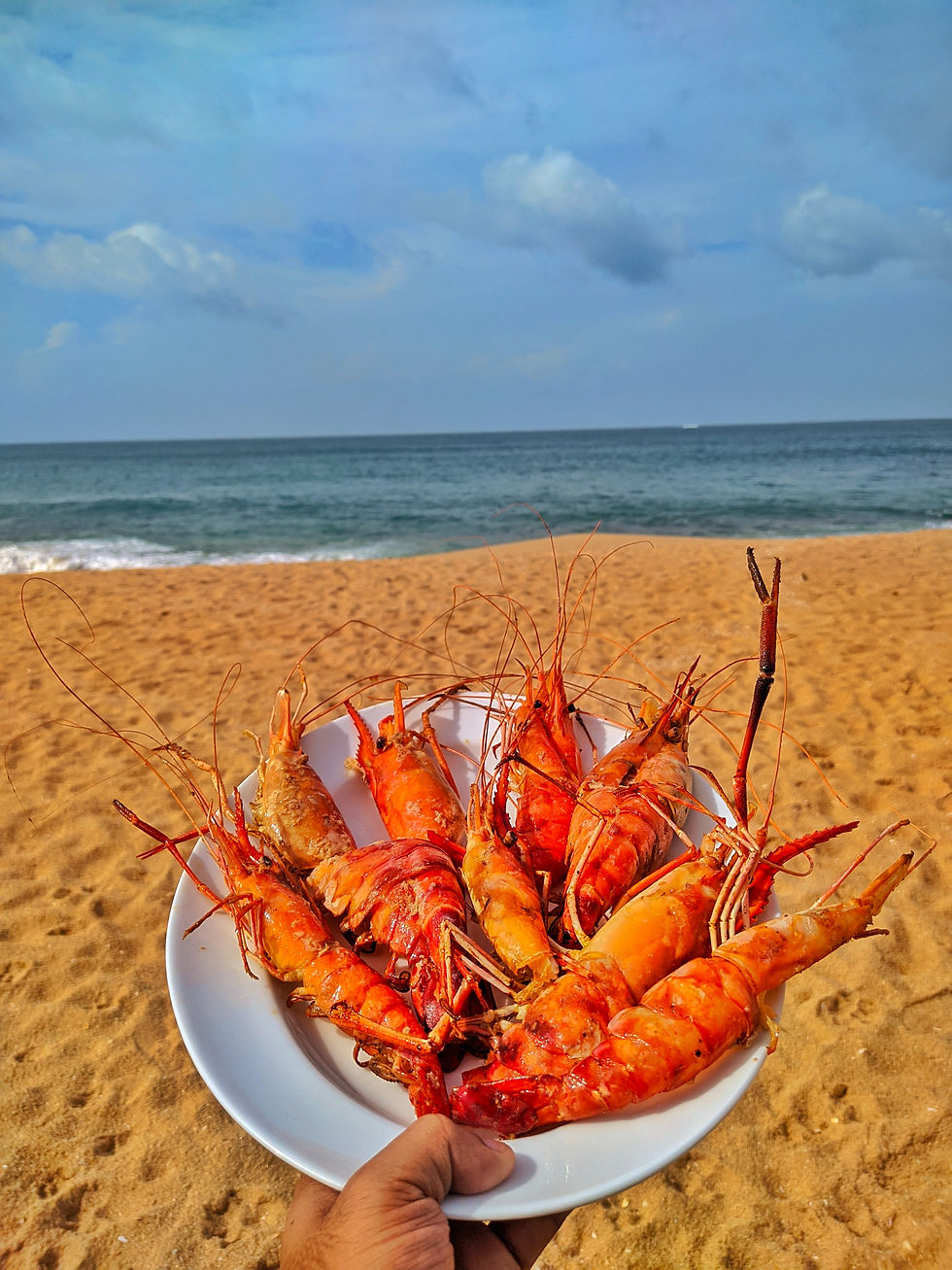 Fresh water prawns
