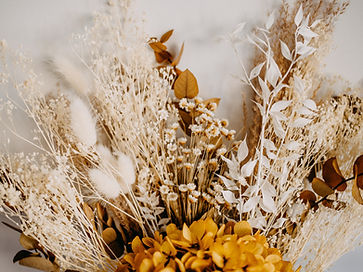 Image by Annie Spratt