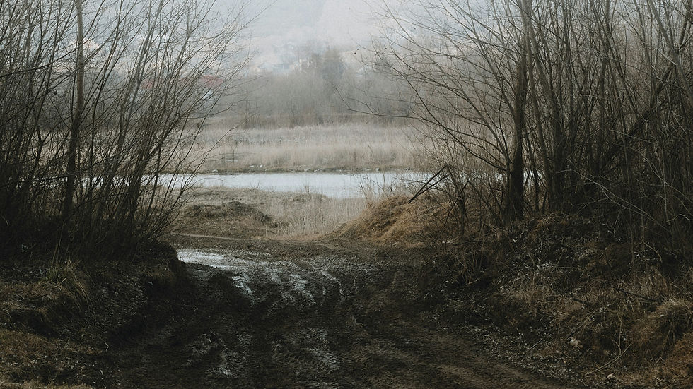 Image by Ciocan Ciprian