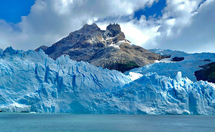 Calafate