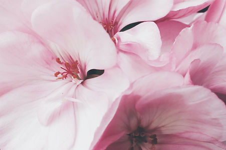 fernreiki