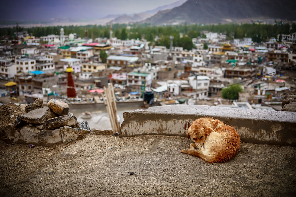 View of a town in Ladakh