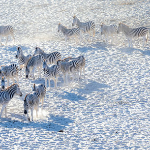 Makgadikgadi Pans