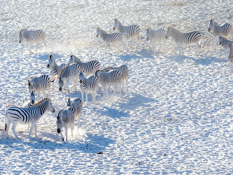 Makgadikgadi Pans