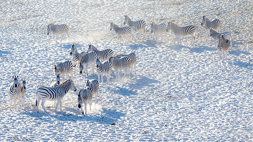 natural and cultural attraction