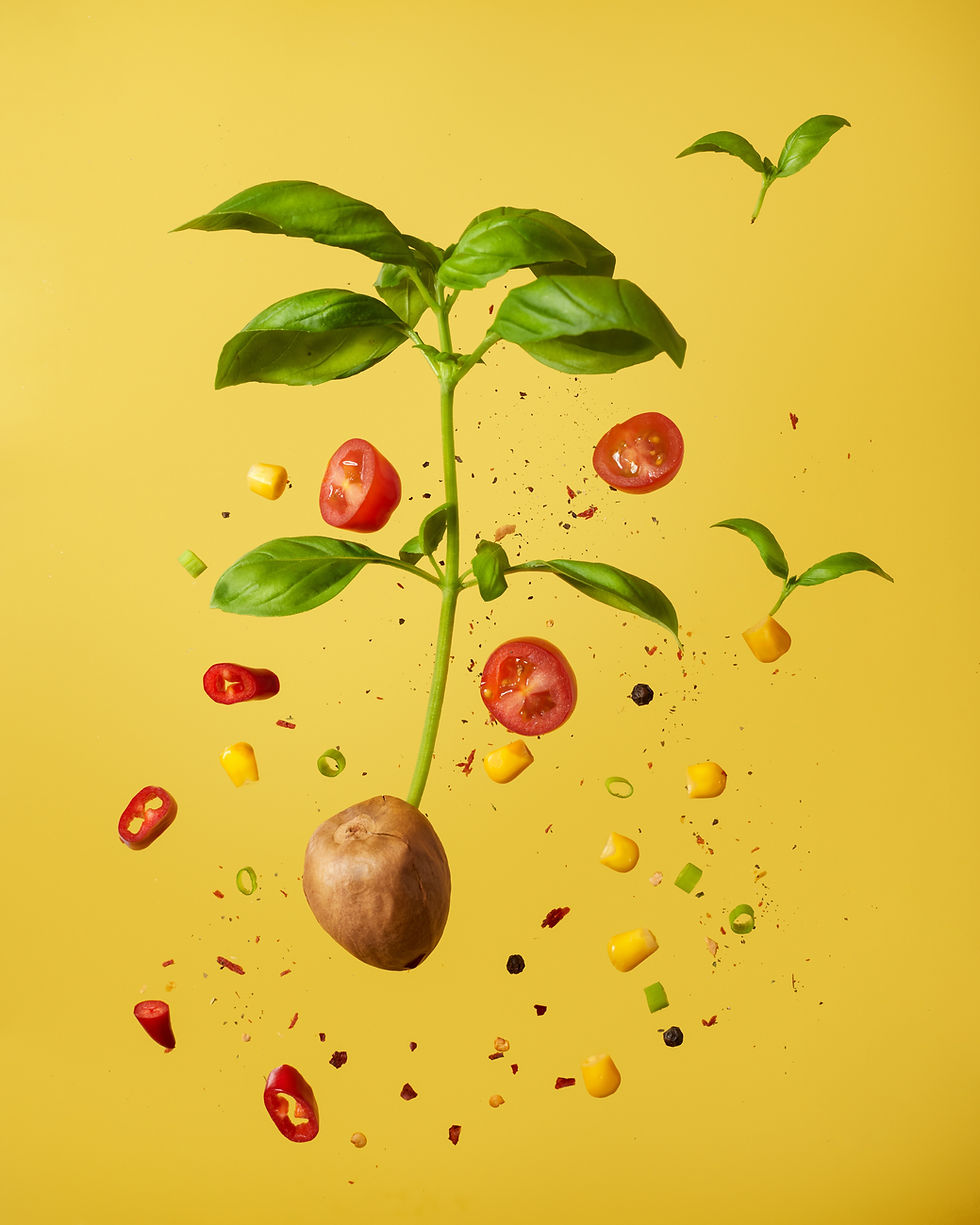Image by Tangerine Newt